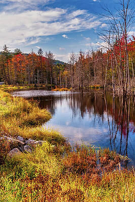 Autumn Restful Reflections V by Dan Carmichael Autumn Restful Reflections V by Dan Carmichael