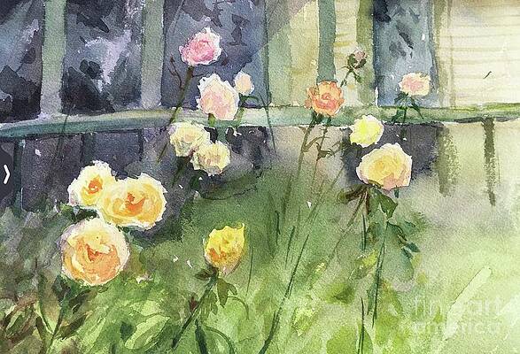 Autumn roses by Yohana K