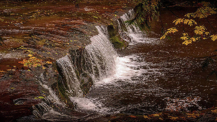 Wall Art - Photograph - Autumn Stream Falls in Brown by Bill Posner