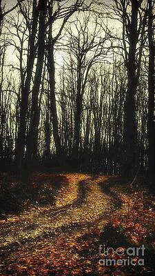 Autumn Symphony 4 by ZS Fine Art Studio Autumn Symphony 4 by ZS Fine Art Studio