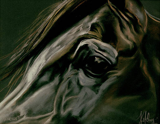 Awareness by Kim McElroy Awareness by Kim McElroy
