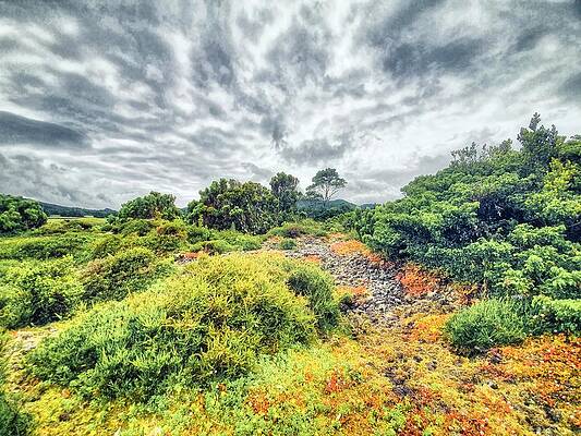 Wall Art - Photograph - Azores Idyllic Nature Landscapes by Marco Sales Photography