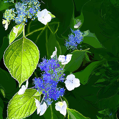 Wall Art - Digital Art - Azure Lace by Gina Harrison