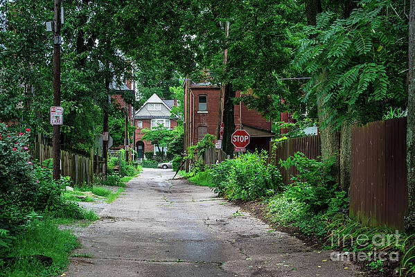 Wall Art - Photograph - Back Alley in Old Louisville in Summer by Gary Whitton