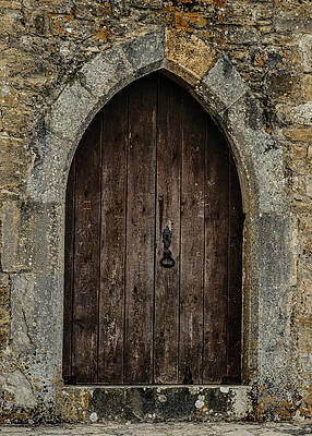 Backdoor by William Dougherty Backdoor by William Dougherty