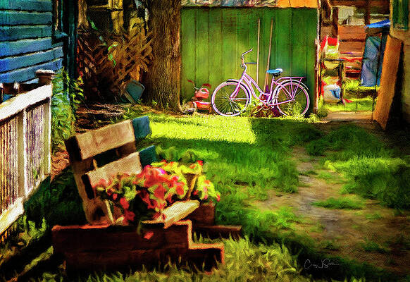 Backyard Pink Lady Schwinn by Craig J Satterlee Backyard Pink Lady Schwinn by Craig J Satterlee
