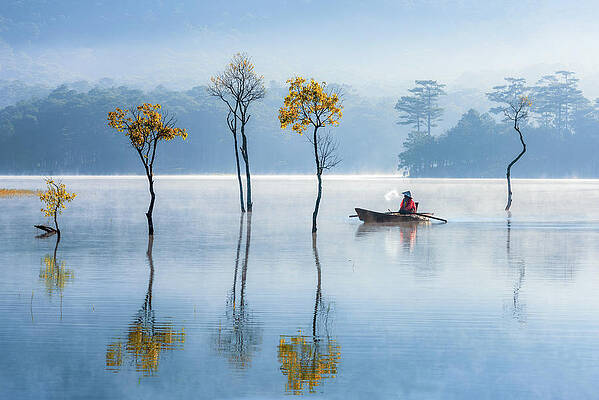 balance of reflection by Khanh Bui Phu balance of reflection by Khanh Bui Phu