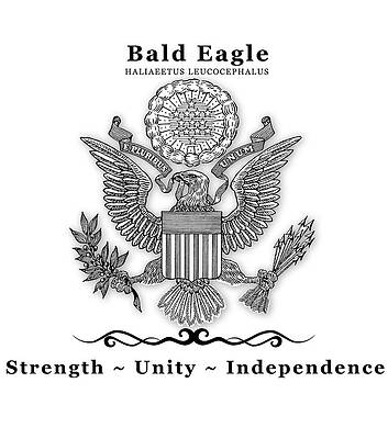 Bald Eagle National Symbol by Lisa Redfern Bald Eagle National Symbol by Lisa Redfern
