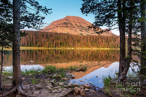 Wall Art - Photograph - Bald Mountain Reflected in Mirror Lake - Uinta Mountains - Utah by Gary Whitton