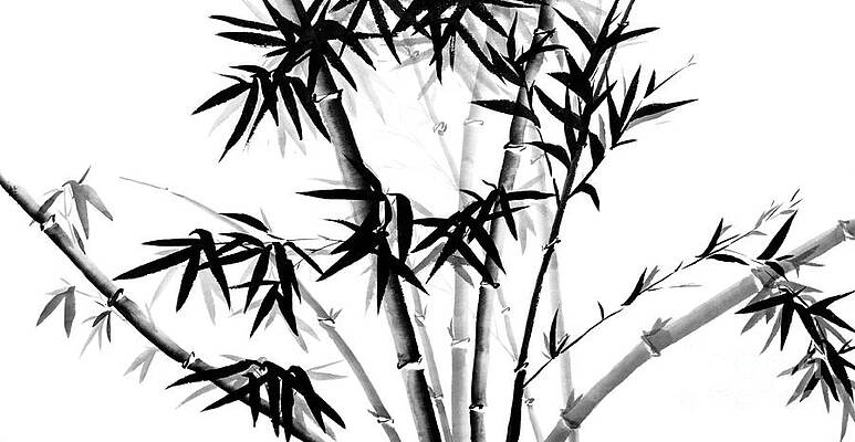 Bamboo Tree Paintings Fine Art America