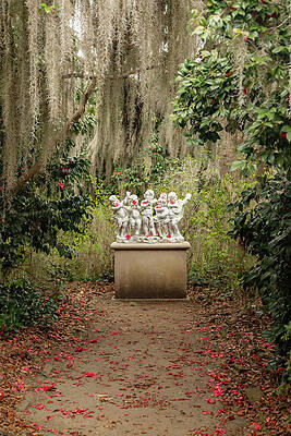 Wall Art featuring the photograph Band Of Angels 4 by Cindy Robinson