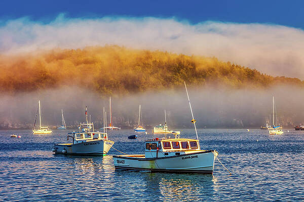 Bar Harbor 8894 by Greg Hartford Bar Harbor 8894 by Greg Hartford