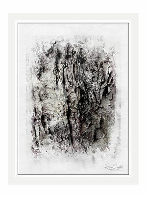 Barking Up The Right Tree by Rene Crystal Barking Up The Right Tree by Rene Crystal