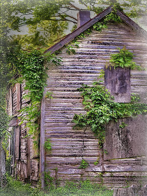 Old wooden house in West Virgina by Cordia Murphy Old wooden house in West Virgina by Cordia Murphy