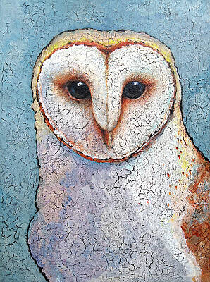 Barn owl by Nelli Horrigan Barn owl by Nelli Horrigan
