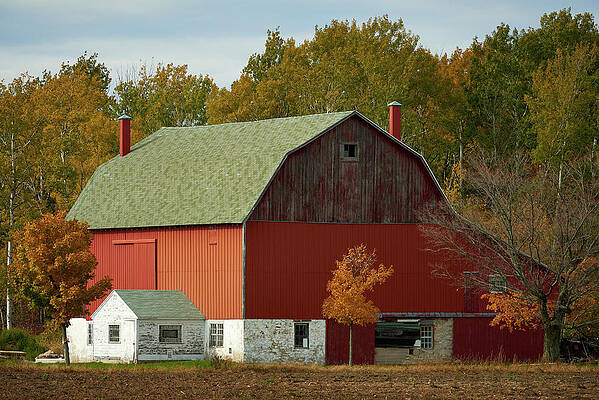 Barn with white building by Paul Freidlund Barn with white building by Paul Freidlund