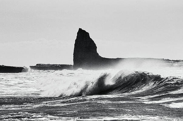 Barrel by Wade Snider Barrel by Wade Snider
