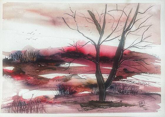 Barren by Amy Johnson
