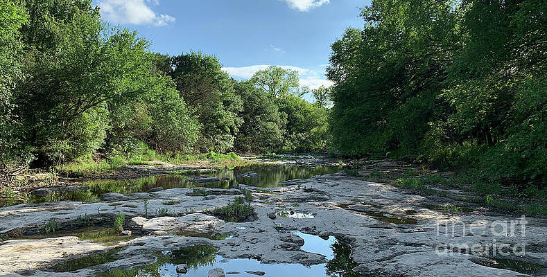 Barton Springs Greenbelt After a Spring Rain Panorama by Felipe Adan Lerma Barton Springs Greenbelt After a Spring Rain Panorama by Felipe Adan Lerma