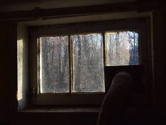 Wall Art - Photograph - View from Basement Window 3 by Roger Swezey