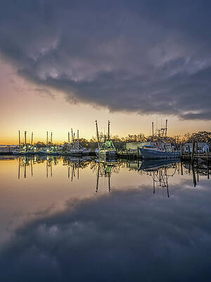 Bayou Sunrise, 1/9/21 by Brad Boland Bayou Sunrise, 1/9/21 by Brad Boland