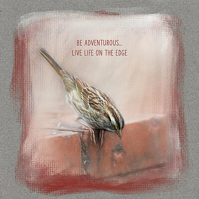 Be Adventurous by Jai Johnson Be Adventurous by Jai Johnson