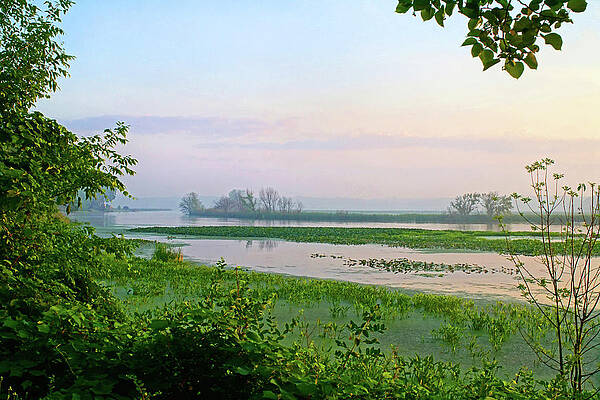 Be Still by the Purple Morning Mist by Kathi Mirto Be Still by the Purple Morning Mist by Kathi Mirto