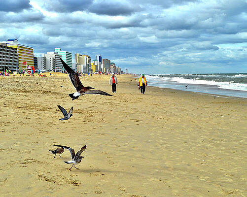 Wall Art - Photograph - Beach Comber Traffic by Susie Loechler