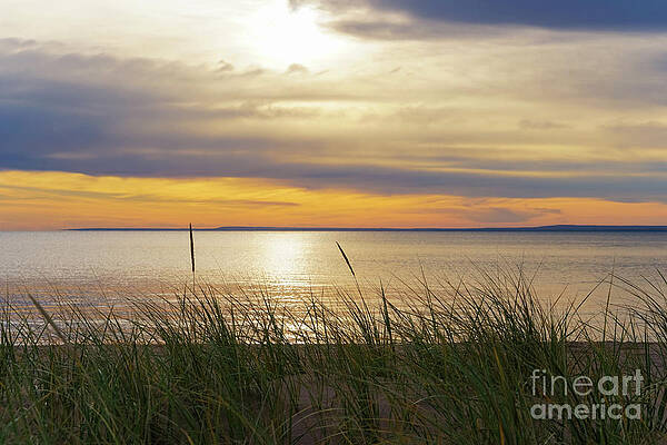 Beach Grass Vision by Jane Tomlin Beach Grass Vision by Jane Tomlin