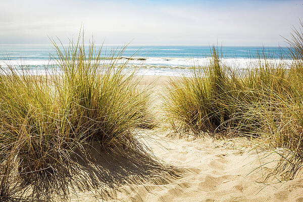 Beach Vibes by Jason Ross Beach Vibes by Jason Ross