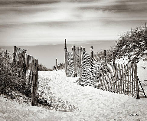 Wall Art - Photograph - Beach Walk by Jim Carlen