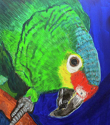 Beaky by Mary Cacciapaglia Beaky by Mary Cacciapaglia