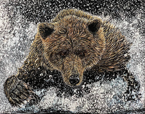 Bearly Wet by Mark Ray Bearly Wet by Mark Ray