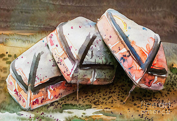 Wall Art - Photograph - Beater Boats by Macro Abundance Art