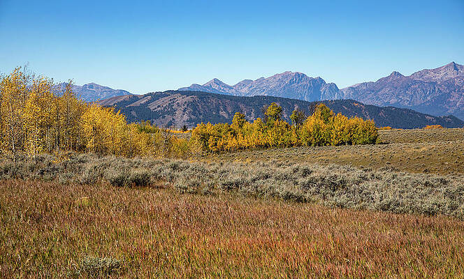 Beautiful Autumn Landscape In Grand Teton National Park by Dan Sproul Beautiful Autumn Landscape In Grand Teton National Park by Dan Sproul