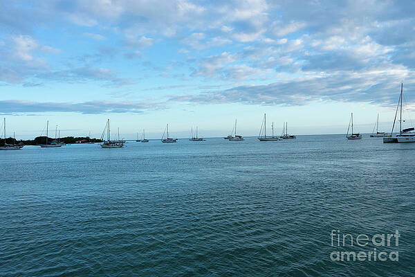 Beautiful Blues by Randall Saltys Beautiful Blues by Randall Saltys