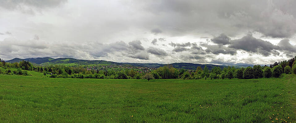 Wall Art - Photograph - Beautiful landscape showing panorama view of green meadow countryside field with single tree in the center against dramatic clouds during rain. Image shot near Rabka located in Poland, Europe by Arpan Bhatia