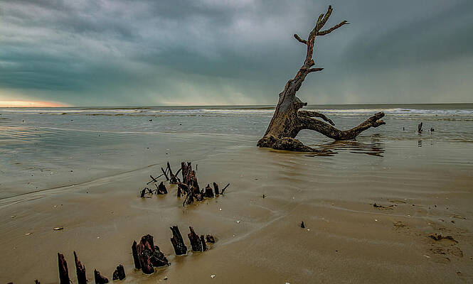 Beautiful Morning at Botany Bay Beach by Marcy Wielfaert Beautiful Morning at Botany Bay Beach by Marcy Wielfaert