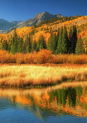 Wall Art - Photograph - Beaver Pond Reflection In Autumn by Dan Sproul
