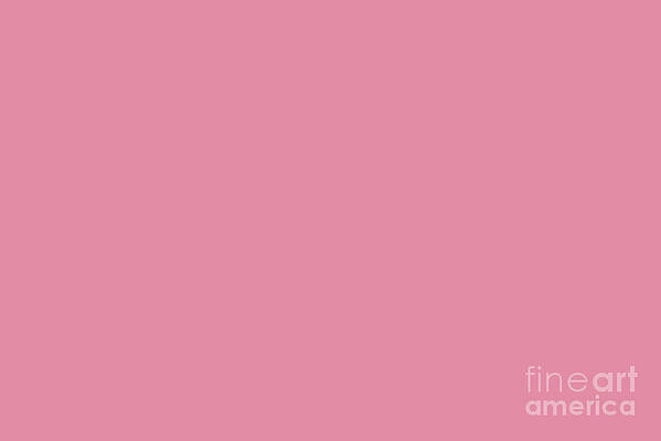 Beckoning Pastel Pink Solid Color Pairs To Sherwin Williams Cheery SW 6584 by Melissa Fague Beckoning Pastel Pink Solid Color Pairs To Sherwin Williams Cheery SW 6584 by Melissa Fague
