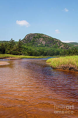 Beehive Mountain Stream by Elizabeth Dow Beehive Mountain Stream by Elizabeth Dow