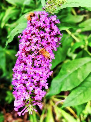 Vibrant Photograph - Bees by Bruce Block
