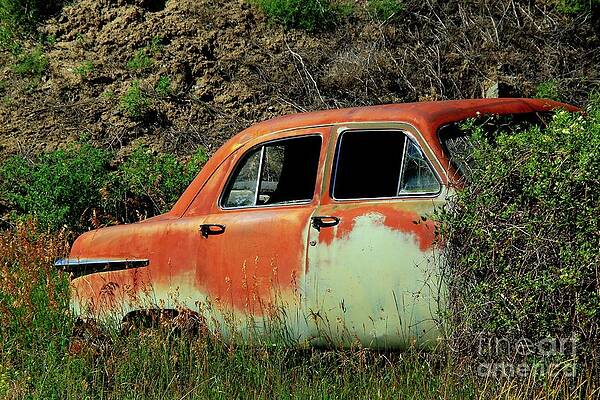 behind the bush by Roland Stanke behind the bush by Roland Stanke