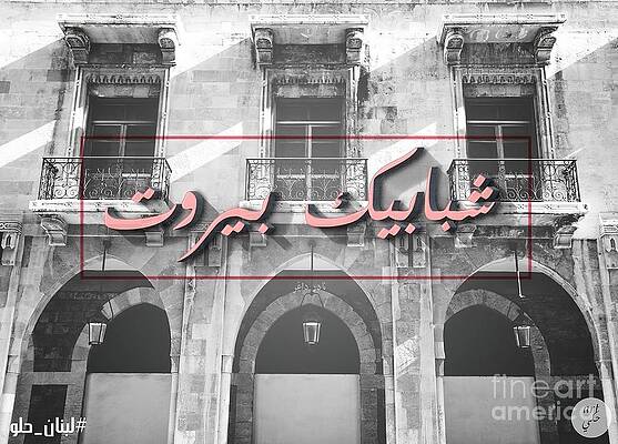 Beirut Windows by Morgan Freddie