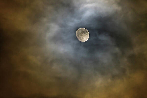 Bella Luna Beautiful Moon by James BO Insogna Bella Luna Beautiful Moon by James BO Insogna
