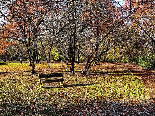 Wall Art - Photograph - Bench Along the Colored Trail IMG_4057 by Michael Thomas