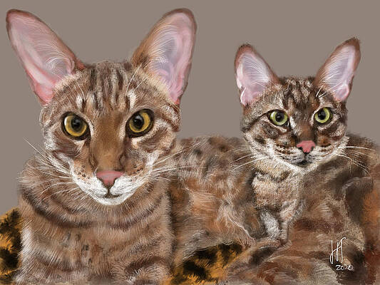 Best Friends Savannah Cats by Lois Ivancin Tavaf Best Friends Savannah Cats by Lois Ivancin Tavaf