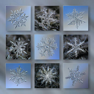 Best processed snowflakes 2021 by Alexey Kljatov Best processed snowflakes 2021 by Alexey Kljatov