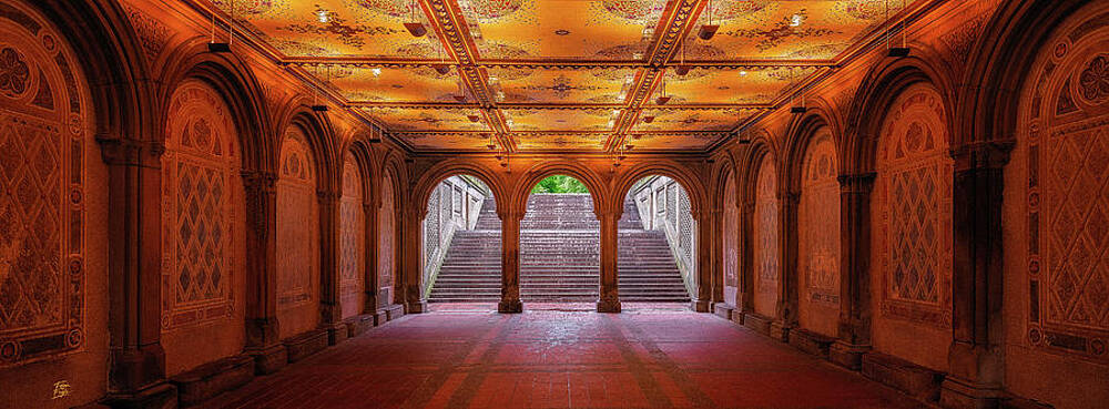 New York City Central Park Bethesda Fountain Blossoms by Christopher Arndt