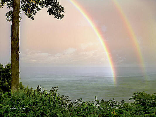 Better Days Ahead by Rebecca Samler Better Days Ahead by Rebecca Samler